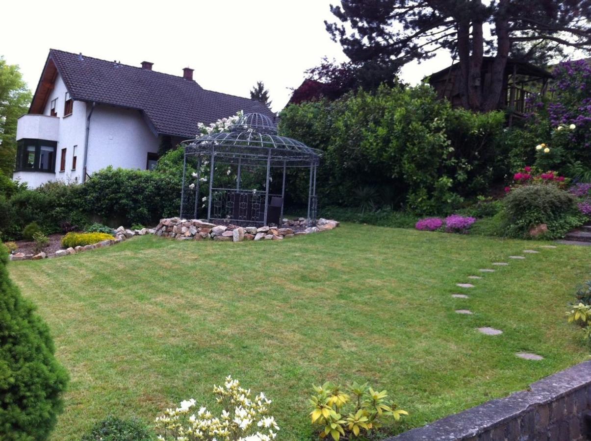 Julia'S Mosel Villa Appartement Julia 特拉本特拉巴赫 外观 照片